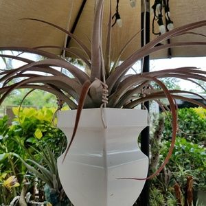 Meet your Posher, Art